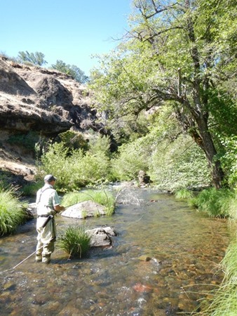 Fishing Report Image