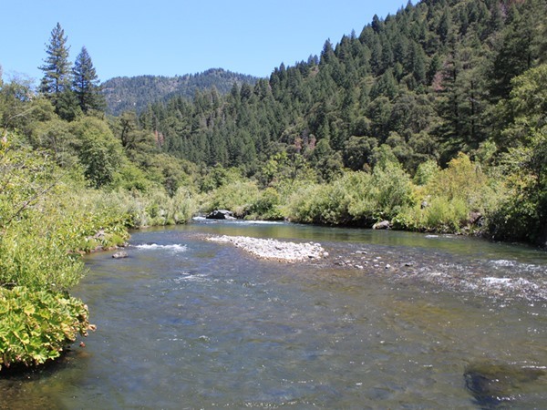 Fishing Report Image