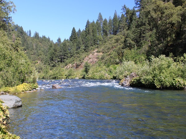 Fishing Report Image