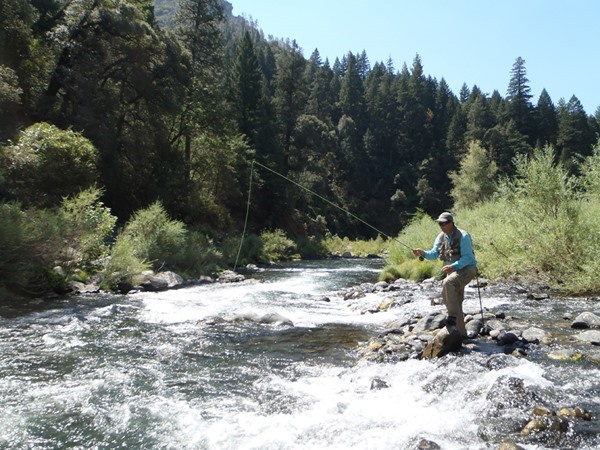 Fishing Report Image