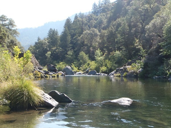 Fishing Report Image