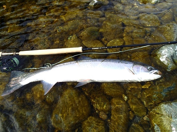 Fishing Report Image