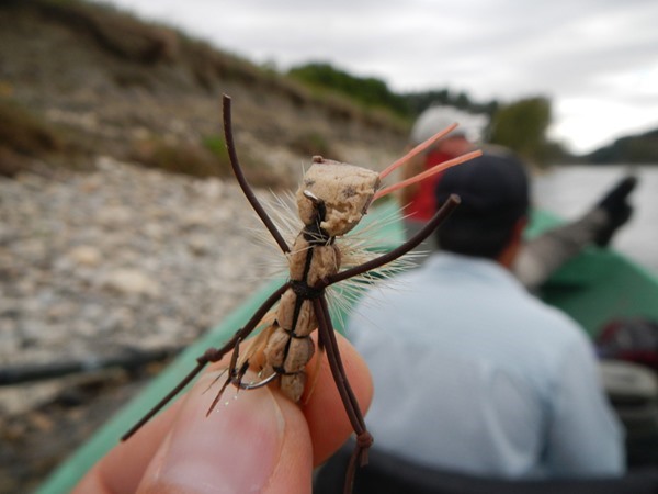 Fishing Report Image