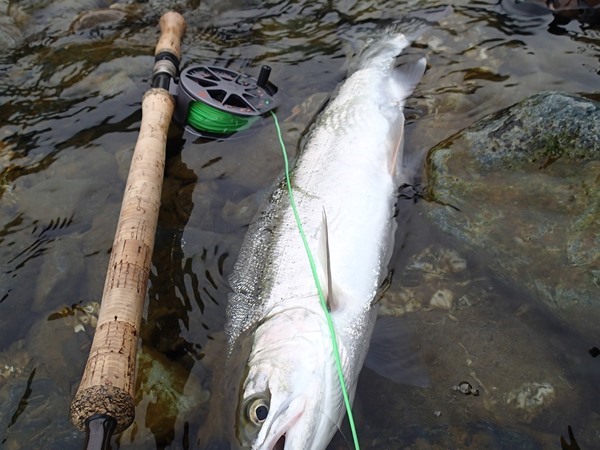 Fishing Report Image