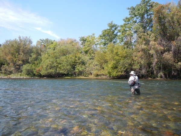 Fishing Report Image
