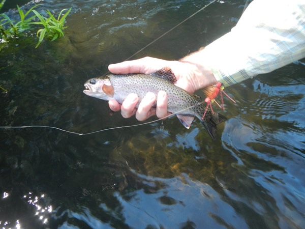 Fishing Report Image