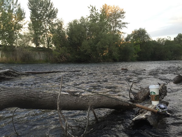 Fishing Report Image