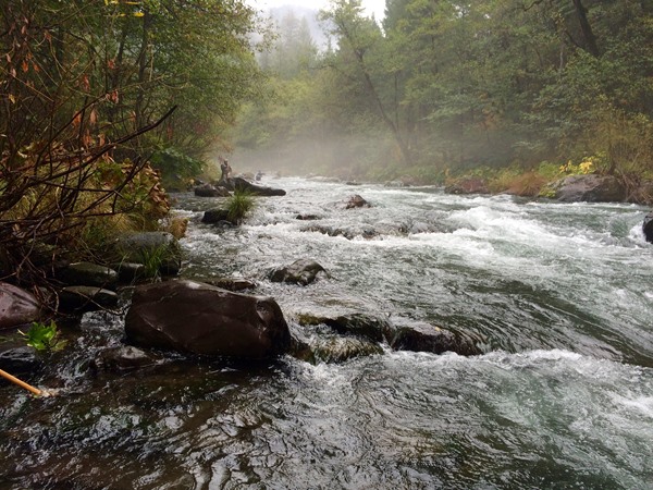 McCloud River Fishing Image