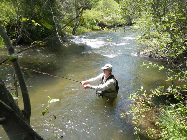 Fishing Report Image
