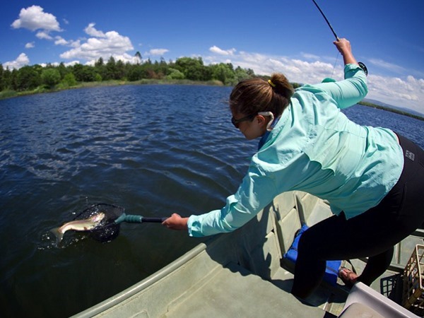 Fishing Report Image