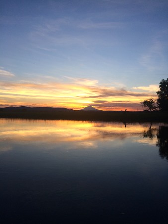 Fishing Report Image