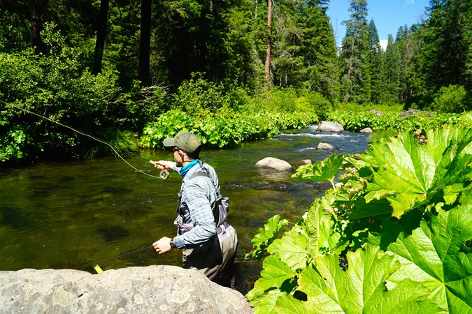 Fishing Report Image
