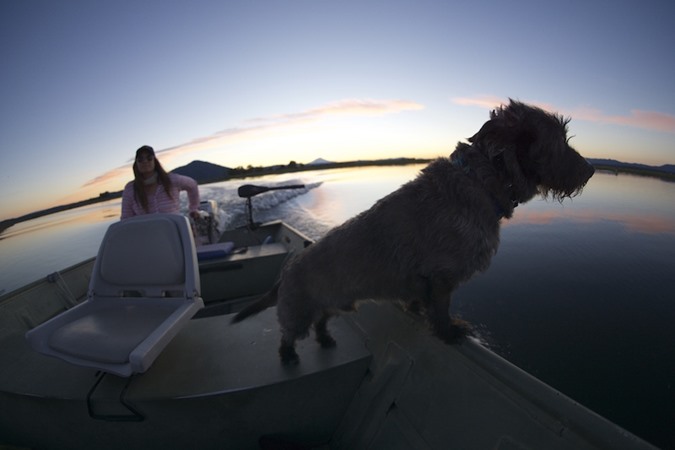 Fishing Report Image