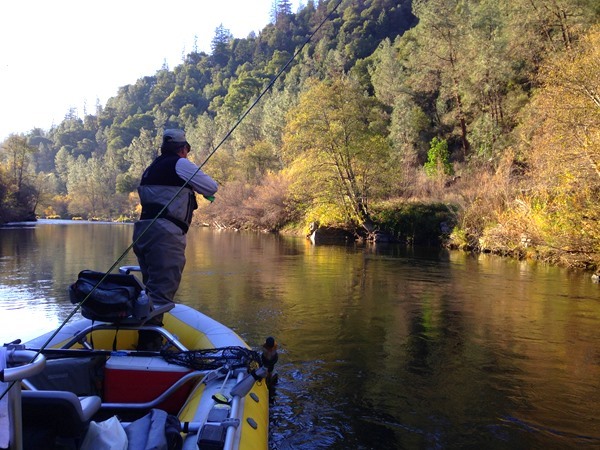 Fishing Report Image