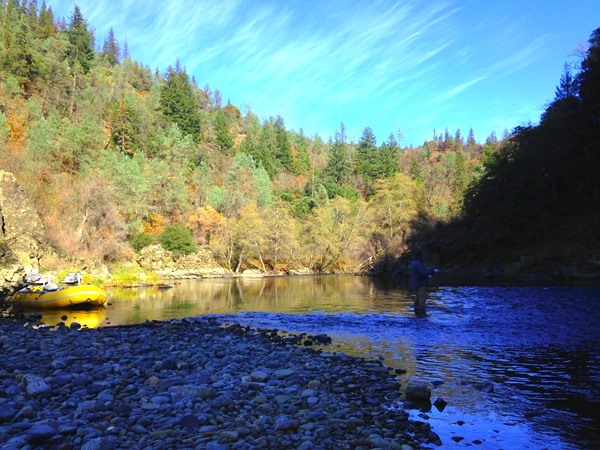 Fishing Report Image