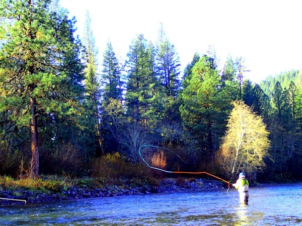Fishing Report Image
