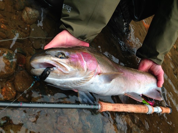 Fishing Report Image