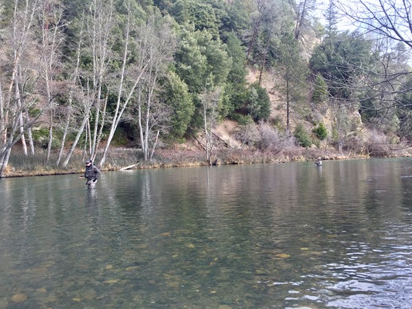 Trinity River Fishing Image