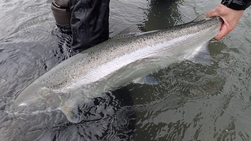 Fishing Report Image