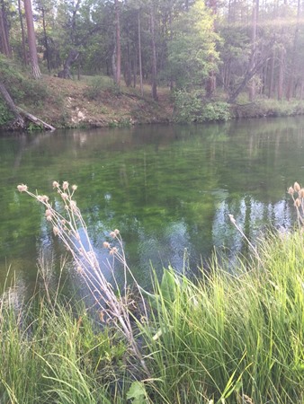 Fishing Report Image