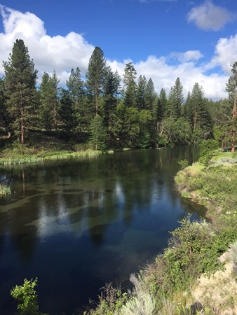 Fishing Report Image