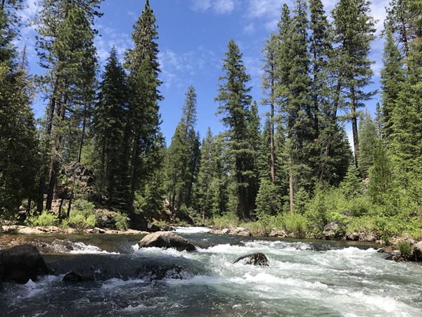 Fishing Report Image