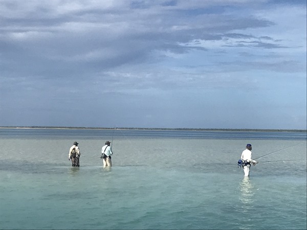 Fishing Report Image