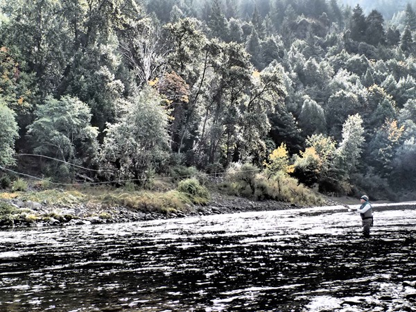 Fishing Report Image
