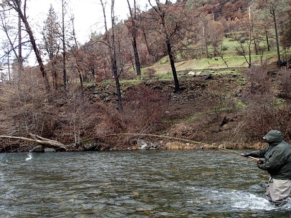 Fishing Report Image