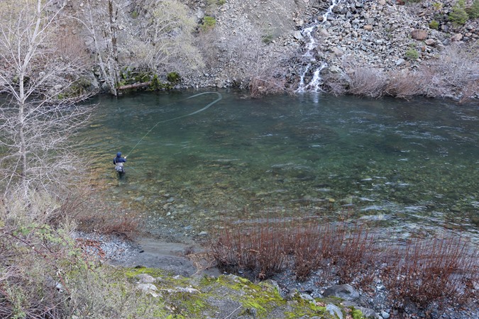 Fishing Report Image