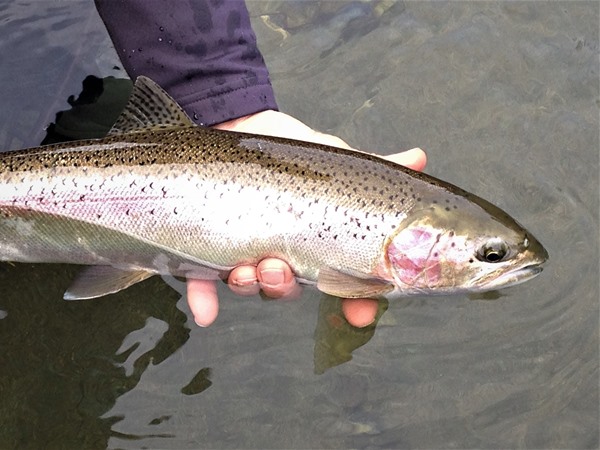 Fishing Report Image