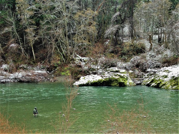 Fishing Report Image