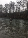 Trinity River Fishing Image