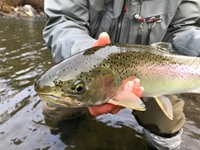 Trinity River Fishing Image