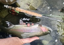 Upper Sac Fishing Image