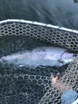 Klamath Basin Fishing Image