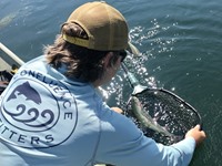 Fall River Fishing Image