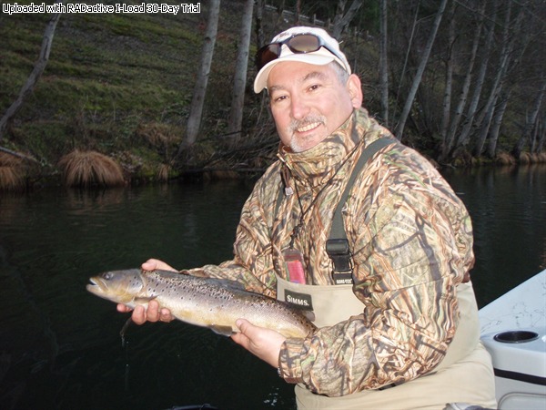 A nice Trinity brown trout