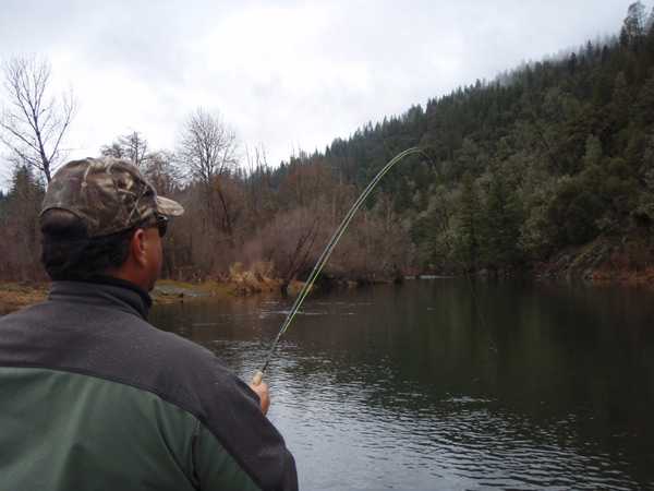 Mike Corley hooked up on a dry fly