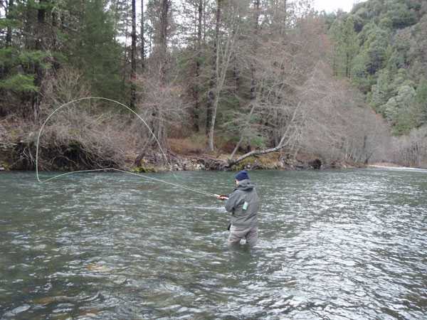 Swinging the leaning tree run.