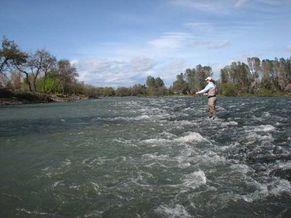 Fishing Report Image