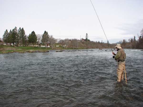 Fishing Report Image