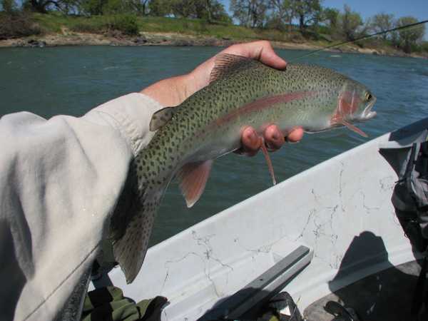 Fishing Report Image