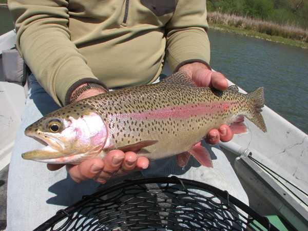 Fishing Report Image