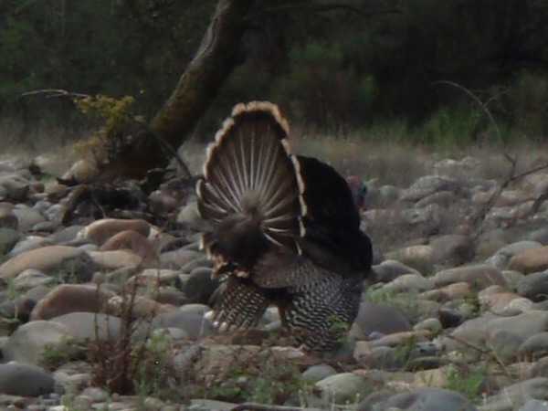 Fishing Report Image