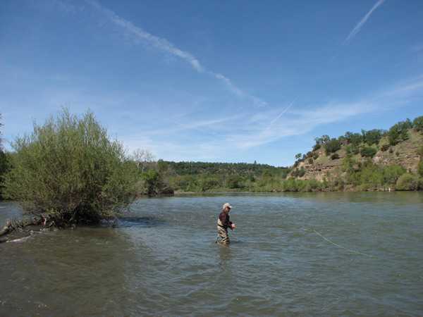 Fishing Report Image