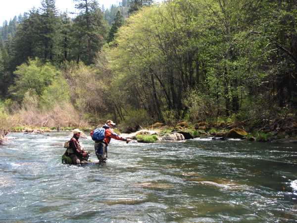 Fishing Report Image