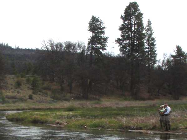 Fishing Report Image