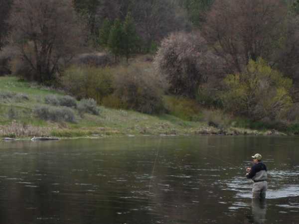 Fishing Report Image