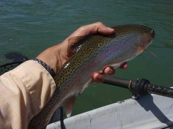 Fishing Report Image